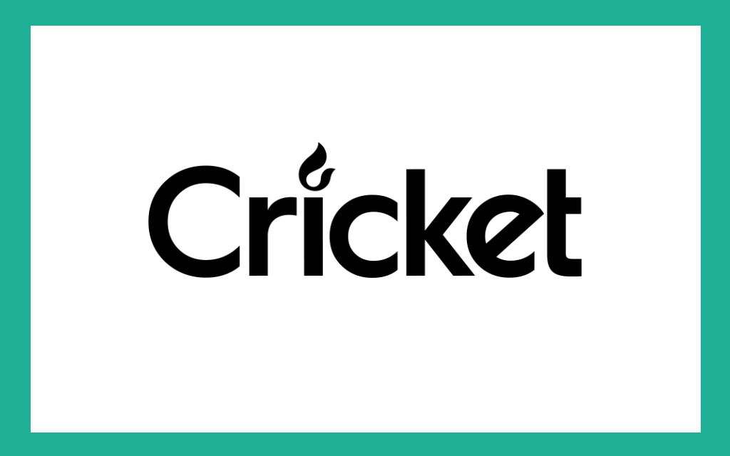 cricket